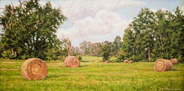 South Texas Hayfield2